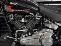 HARLEY-DAVIDSON Softail