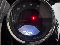 HARLEY-DAVIDSON Softail