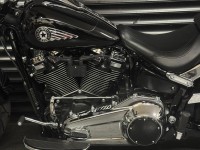 HARLEY-DAVIDSON Softail