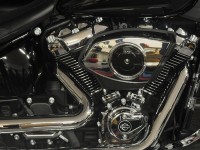 HARLEY-DAVIDSON Softail