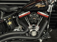 HARLEY-DAVIDSON FLSTSB