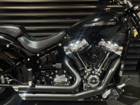 HARLEY-DAVIDSON Softail