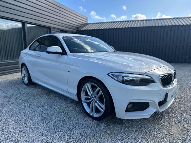 BMW 2 SERIES 2.0 220d M Sport Euro 6 (s/s) 2dr